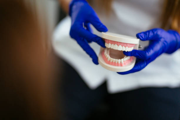 Trusted Carrollton, IL  Holistic Dental Services Experts
